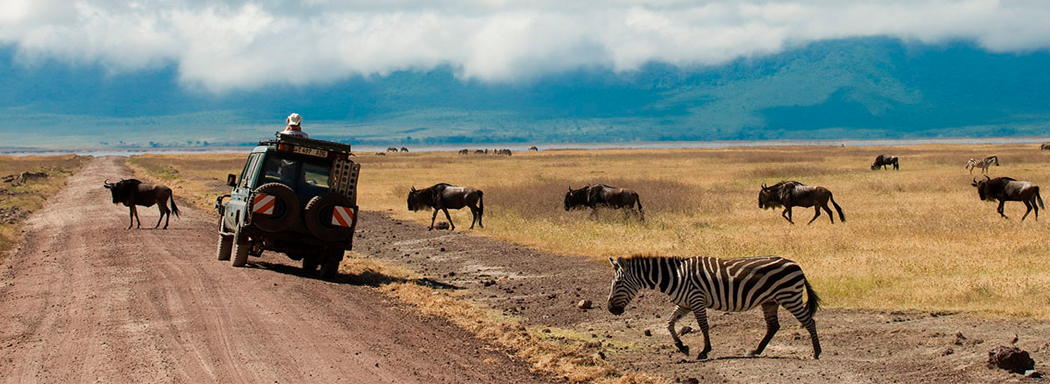 ngorongoro crater