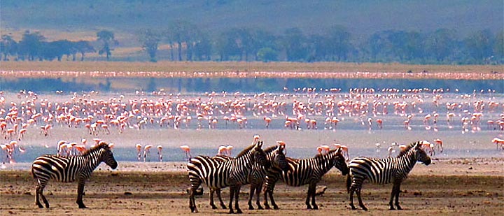 manyara national park